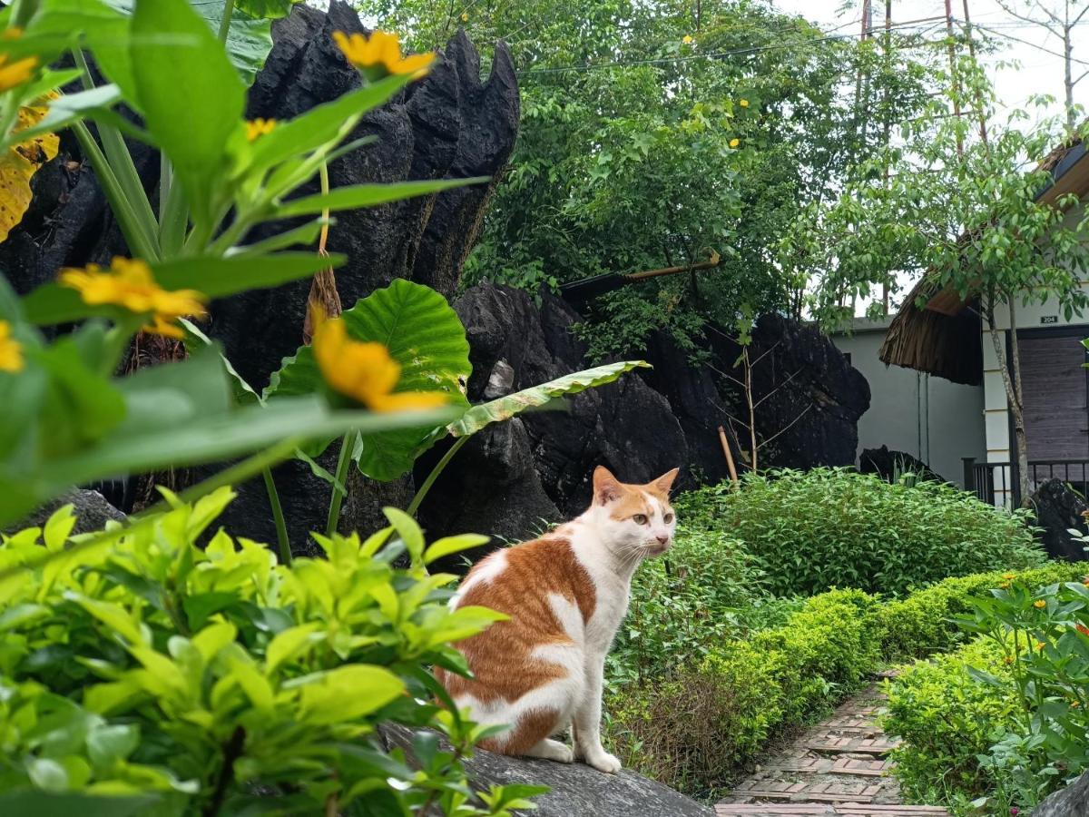 Wings Ha Giang Loop Bungalow Luaran gambar